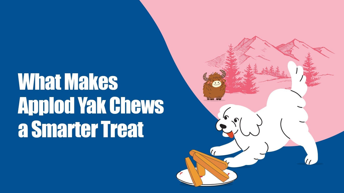What Makes Applod Yak Chews a Smarter Treat Choice for Your Dog