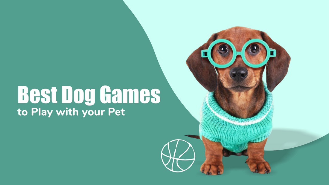best-dog-games-to-play