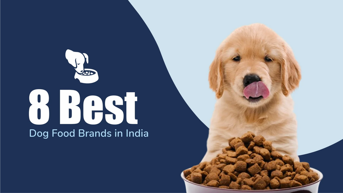 best-dog-food-brands-in-india
