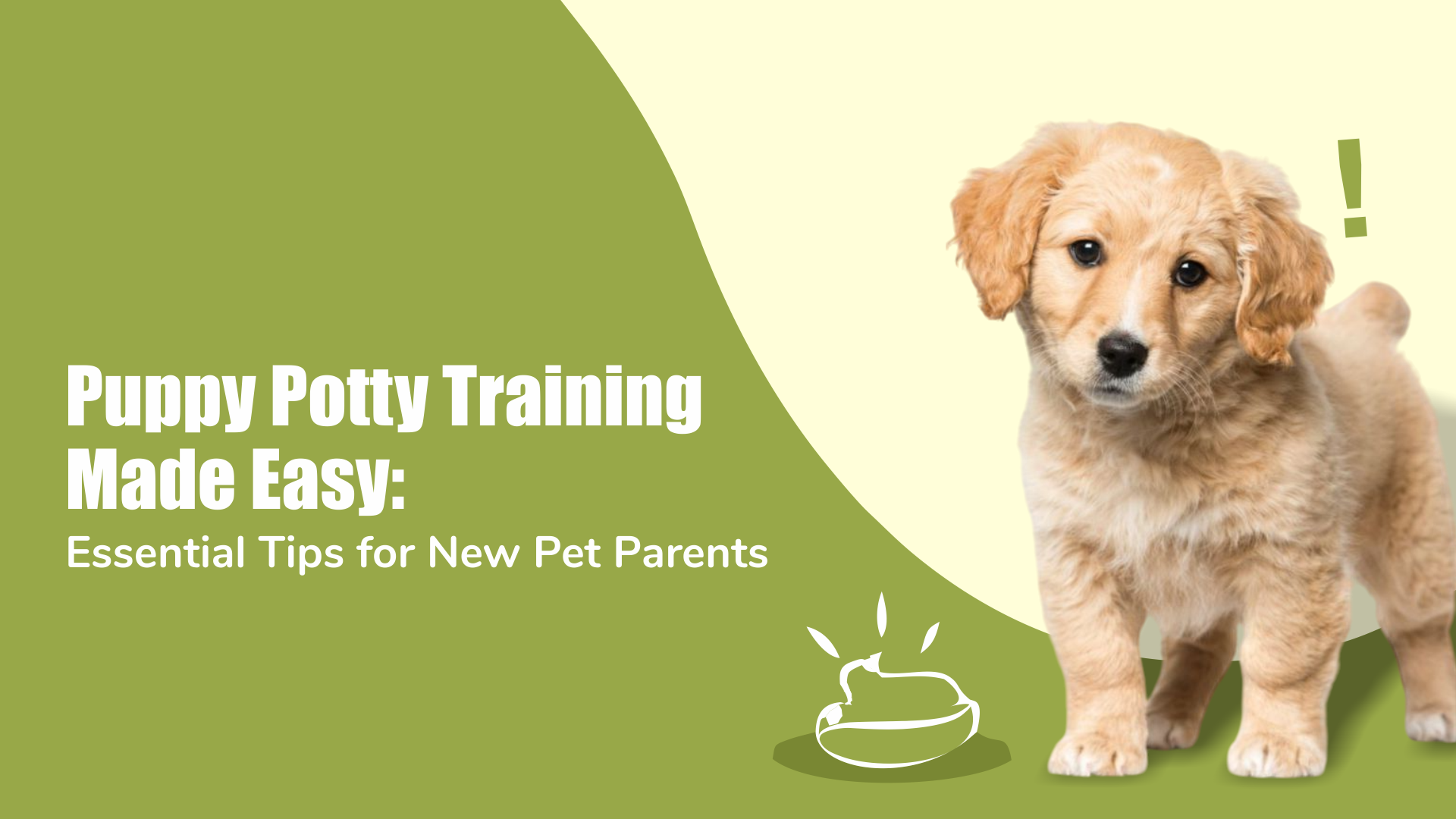 Puppy Pad Training Tips: Easy Steps for Quick Success