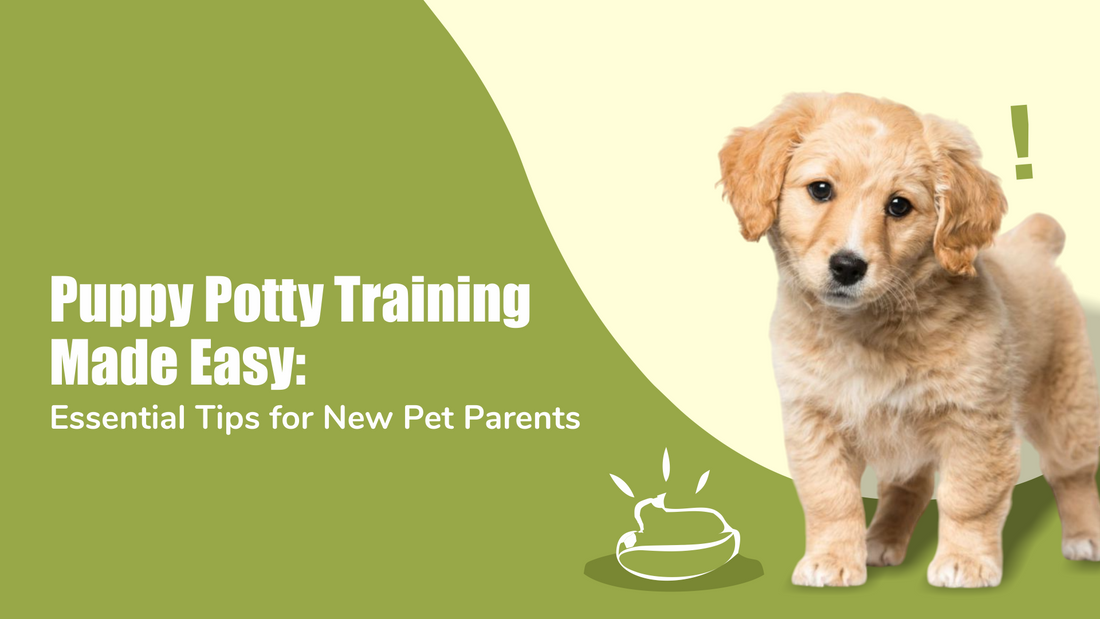 puppy-potty-training-tips