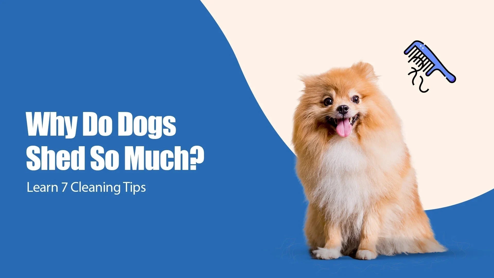 How to Clean Up Dog Hair: 7 Easy Tips | Zigly