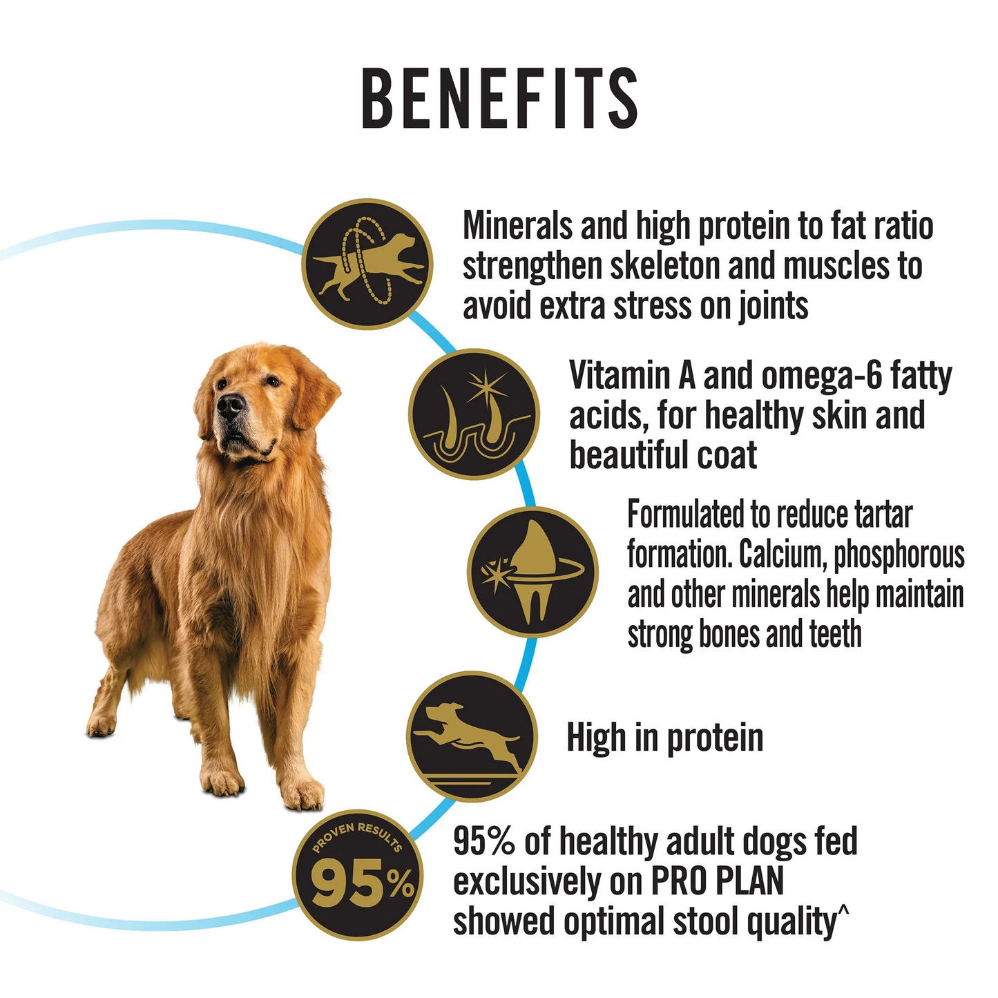 PURINA PRO PLAN Large Breed Adult Dry Dog Food - 3kg - Zigly