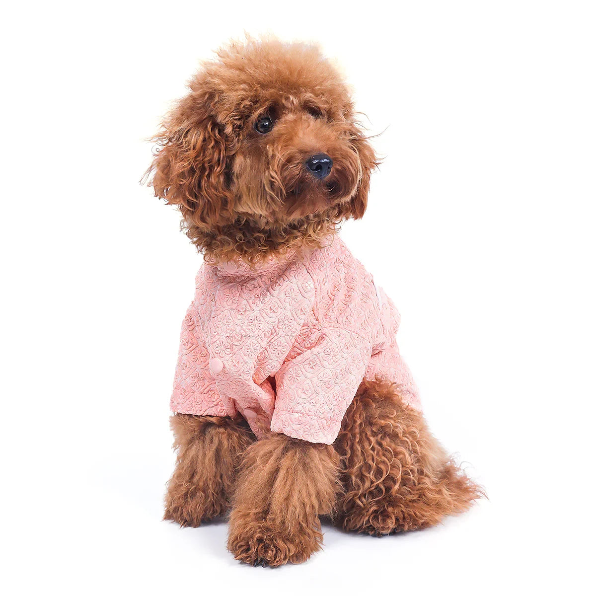 15 Furries Peach Sherwani For Dogs - Zigly