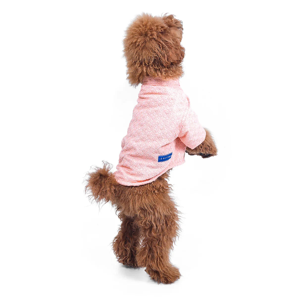 15 Furries Peach Sherwani For Dogs - Zigly