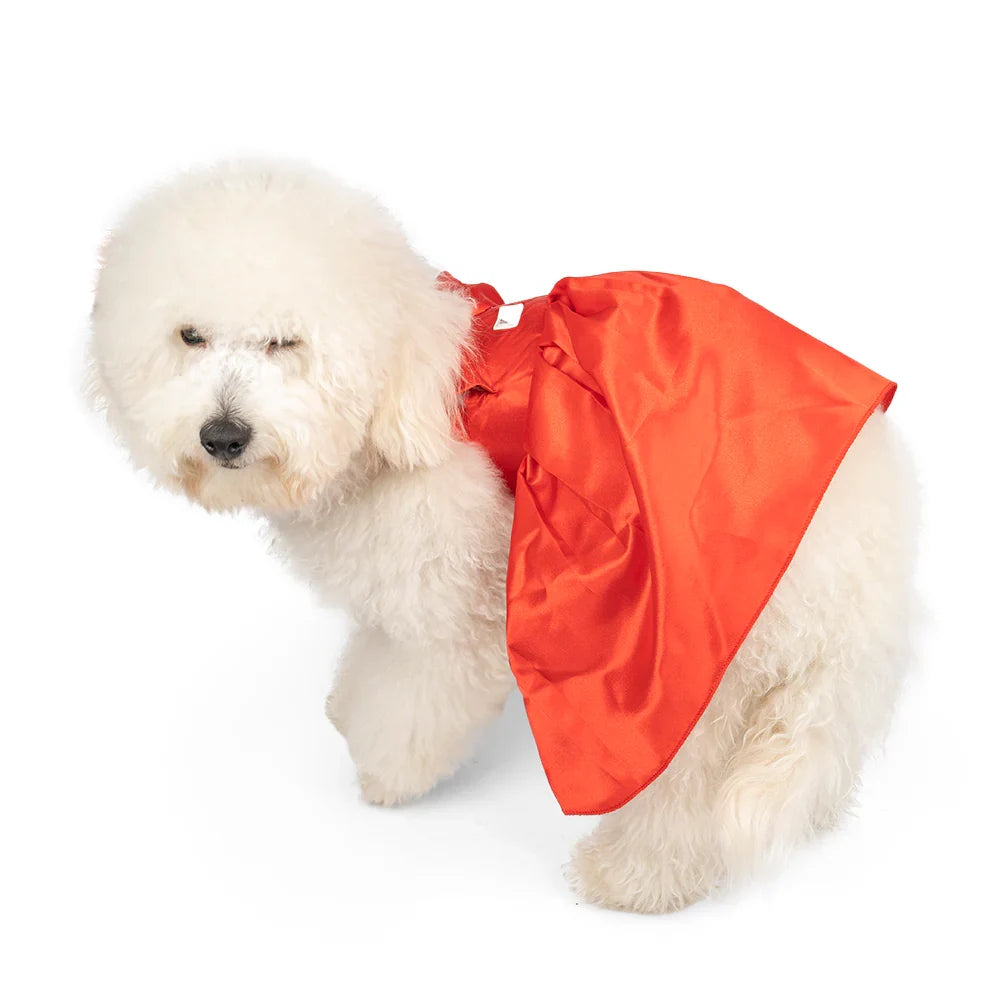 ZL Sassy Scarlet Frock Dog Dress - Zigly