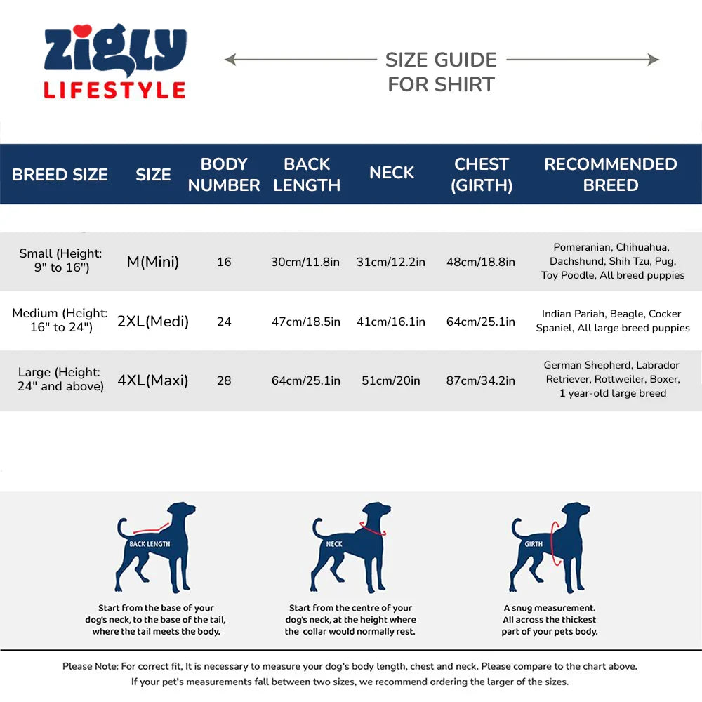 ZL Gingham Glam Dog Shirt - Zigly