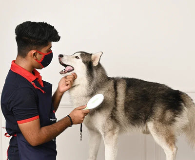 Gentle Care