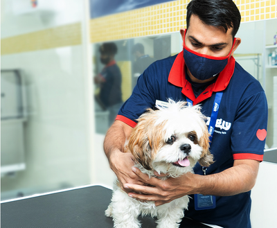 Safe & Hygienic Spaces