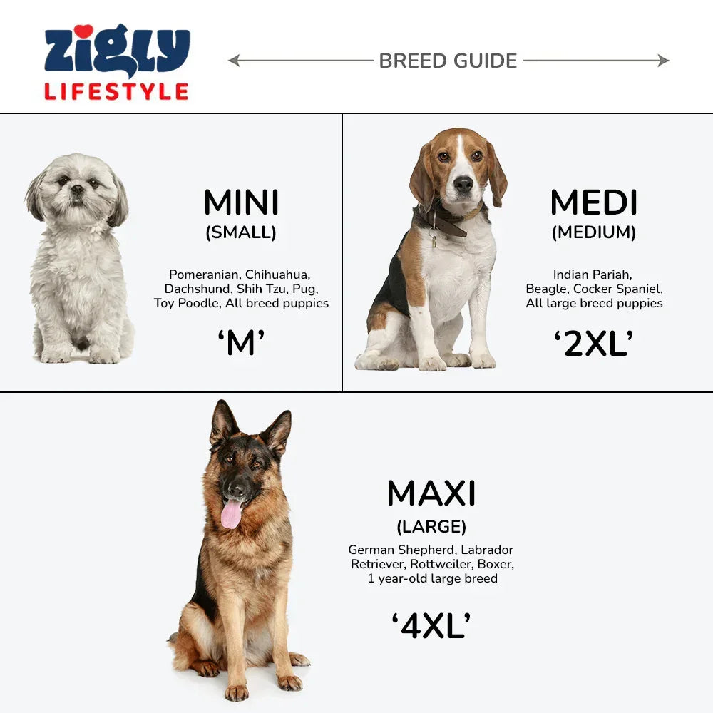 ZL Sassy Scarlet Frock Dog Dress - Zigly