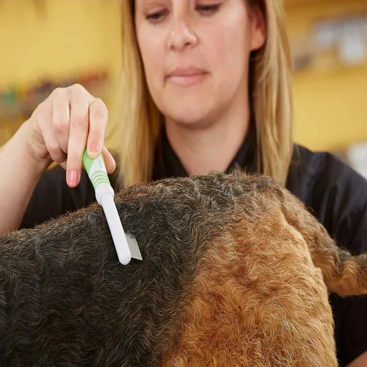 Person using lime green flea comb on dog's fur, zigly pet grooming tool visible