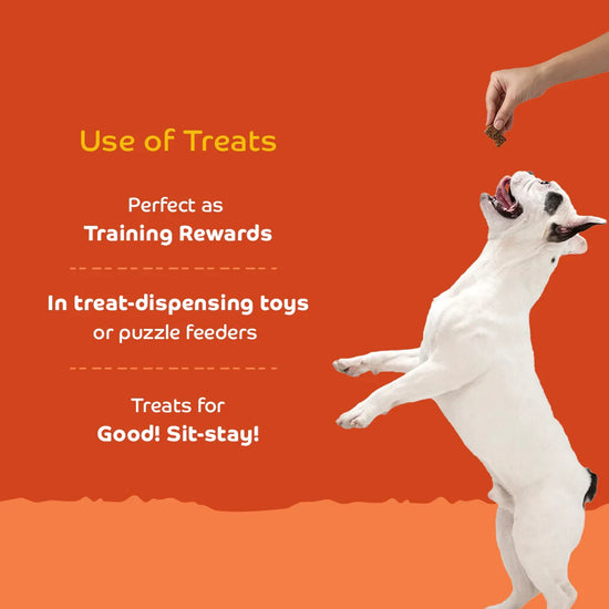 Applod Chicken Liver Dog Biscuit With Quinoa  - Zigly