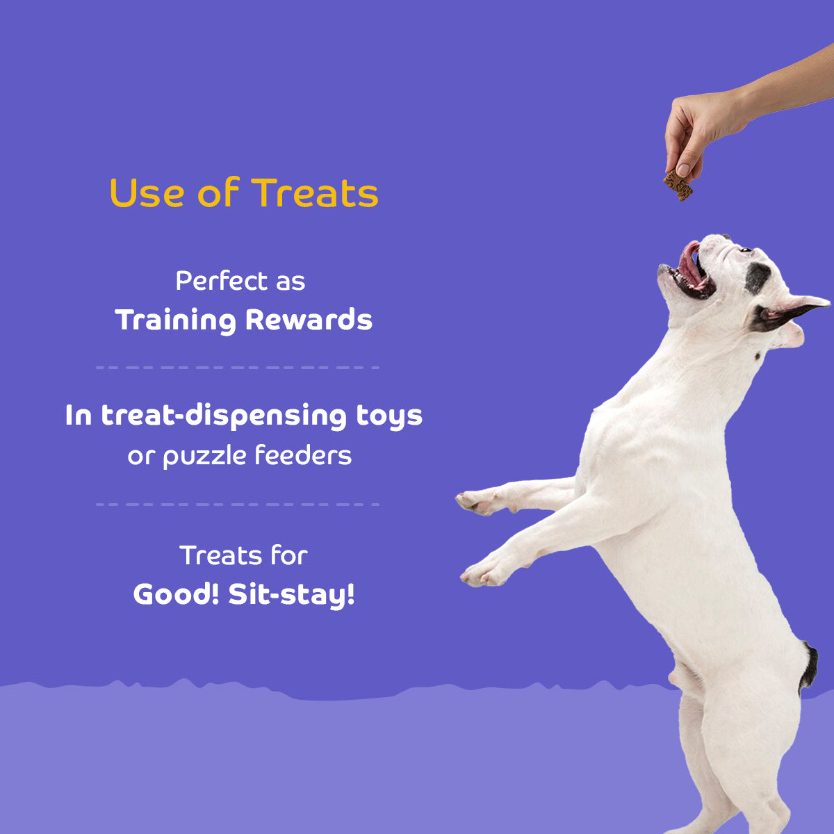 Applod Lamb Dog Biscuit With Ashwagandha - Zigly