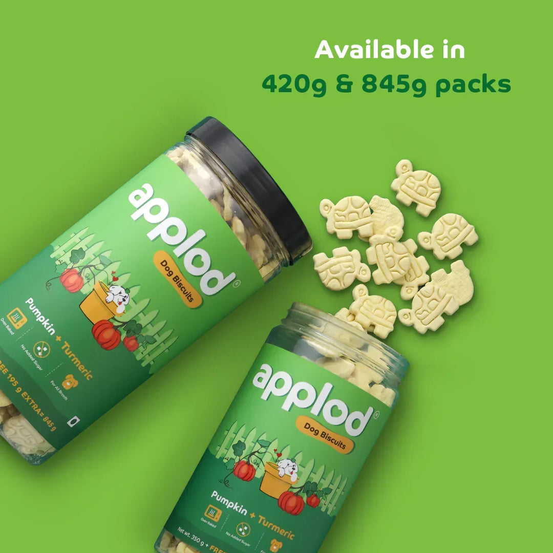 Applod Pumpkin Dog Biscuit with Turmeric - 25g (Sample) - Zigly