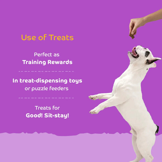 Applod Real Chicken Dog Biscuit - Zigly