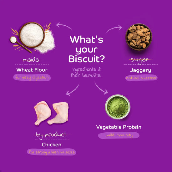 Applod Real Chicken Dog Biscuit - Zigly