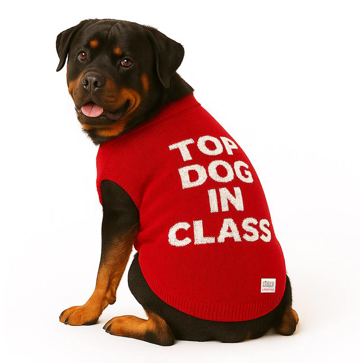 ZL Varsity Top Pup Scholar Dog Sweater-Red