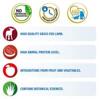 Farmina N&D Grain Free Pumpkin Lamb & Blueberry Wet Cat Food - All Breed Adult - 800g - Zigly