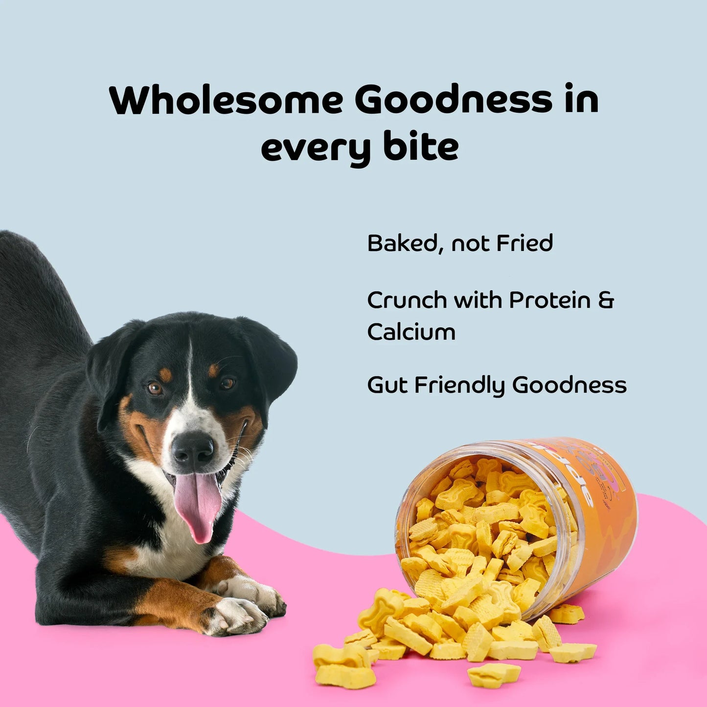 Applod Crunch-a-Licious Gluten Free Chicken & Cheese Dog Biscuits - 800g - Zigly