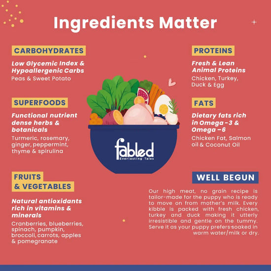 Fabled Well Begun With Fresh Chicken, Turkey & Duck Starter Dry Dog Food - All Breed Puppy - 2kg - Zigly