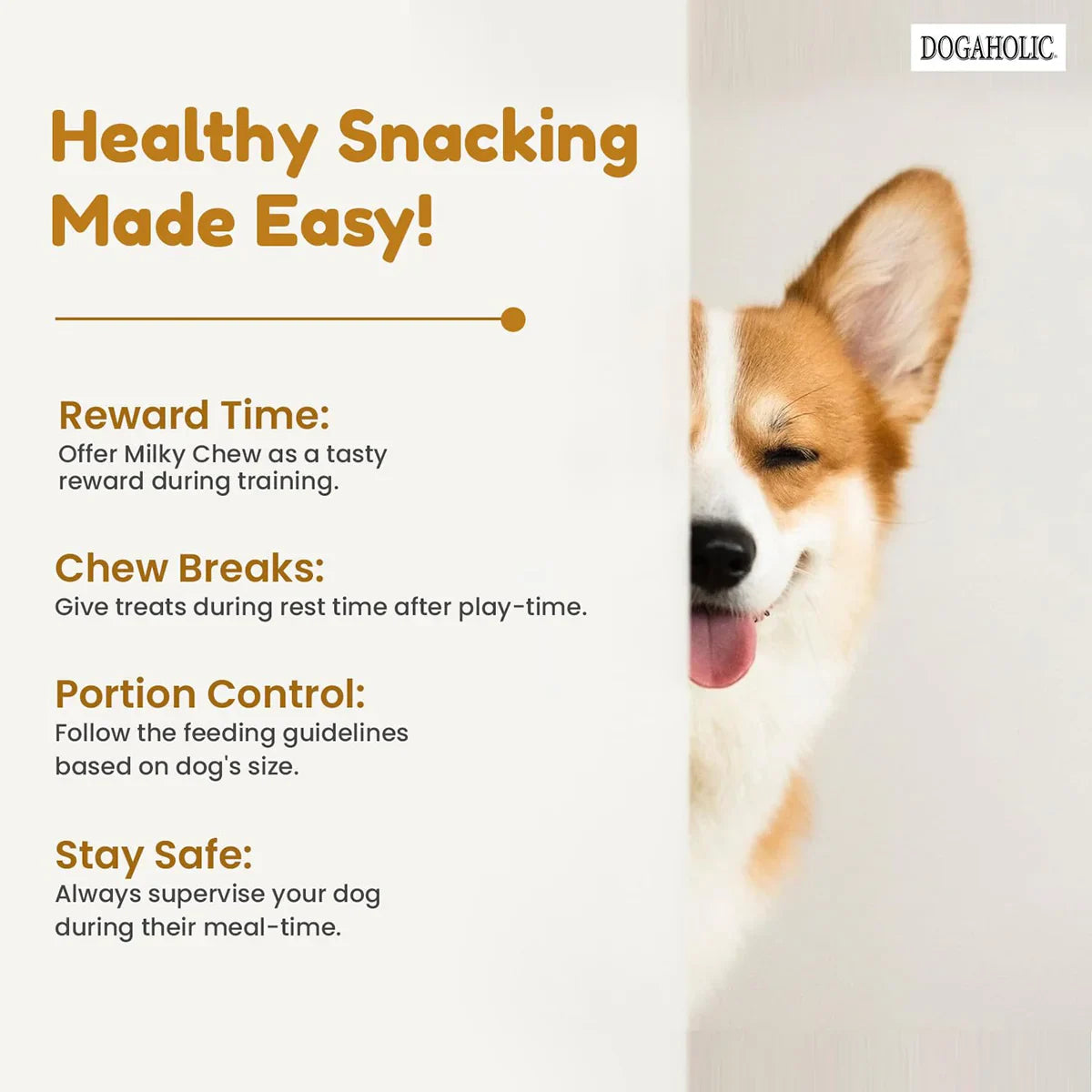 Dogaholic Milky Chew Cheese & Chicken Sticks Dog Treat - 10 pieces - Zigly