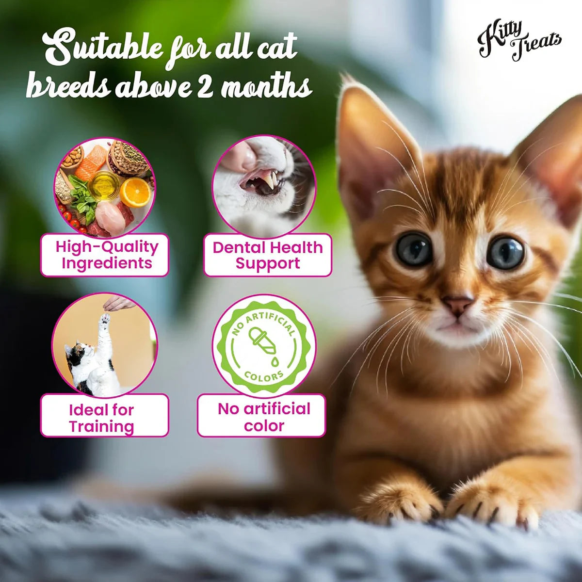 Neko Cat Chicken & Tuna Cat Meaty Treat - 30g - Zigly