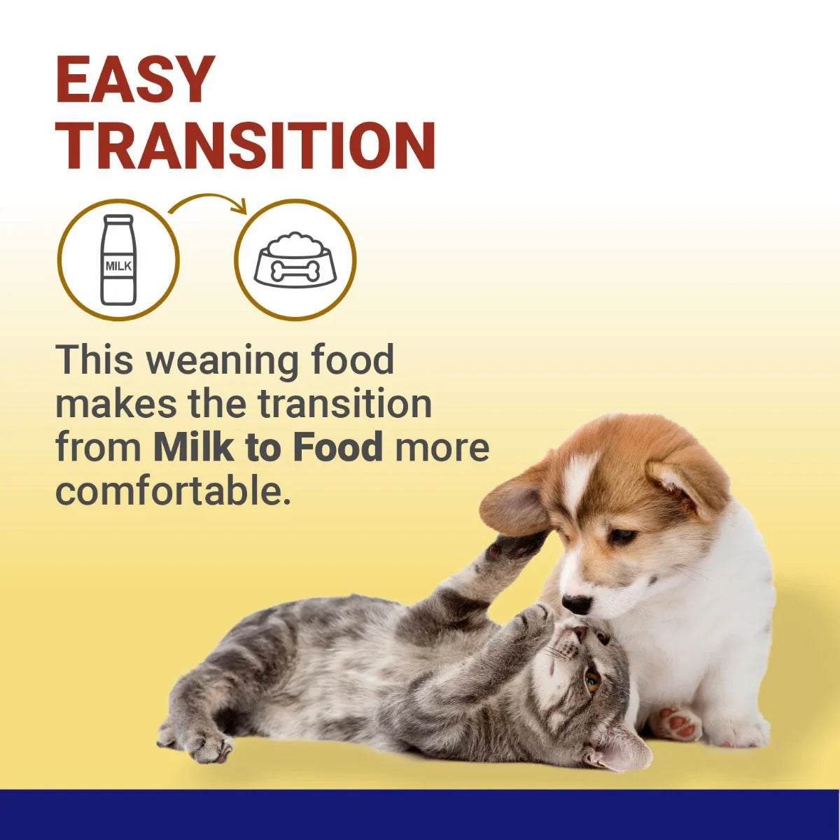 Vetoquinol Samolac Pro Puppy Weaning Food - 400g - Zigly