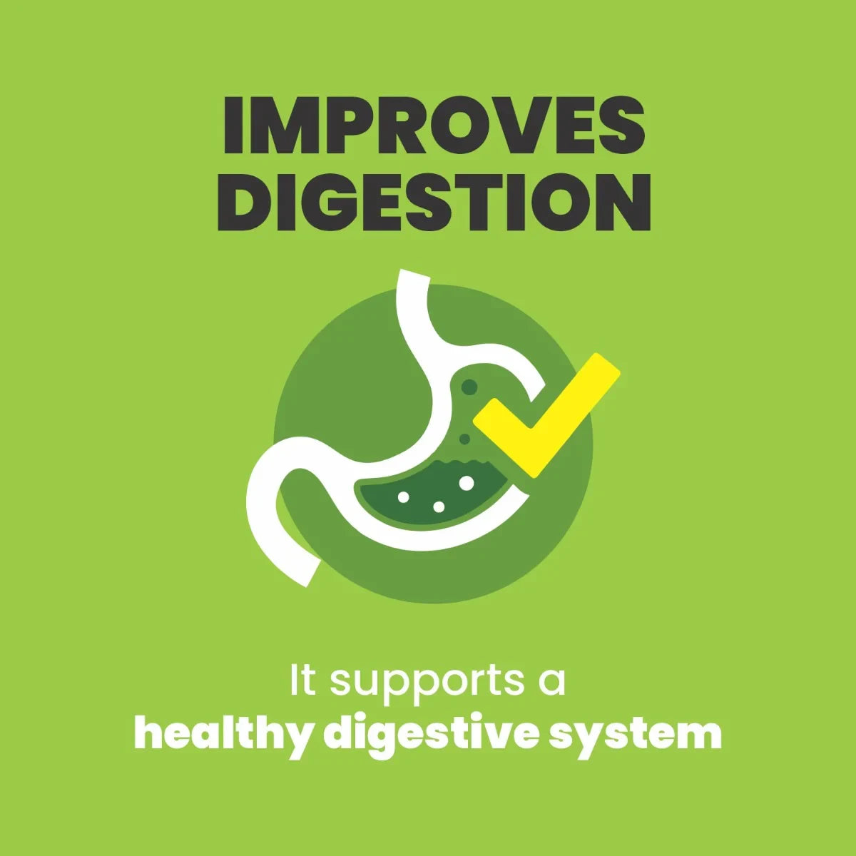 Palamountains My Beau Vitamin & Mineral Tasty Oil Supplement For Dog - 300 ml - Zigly