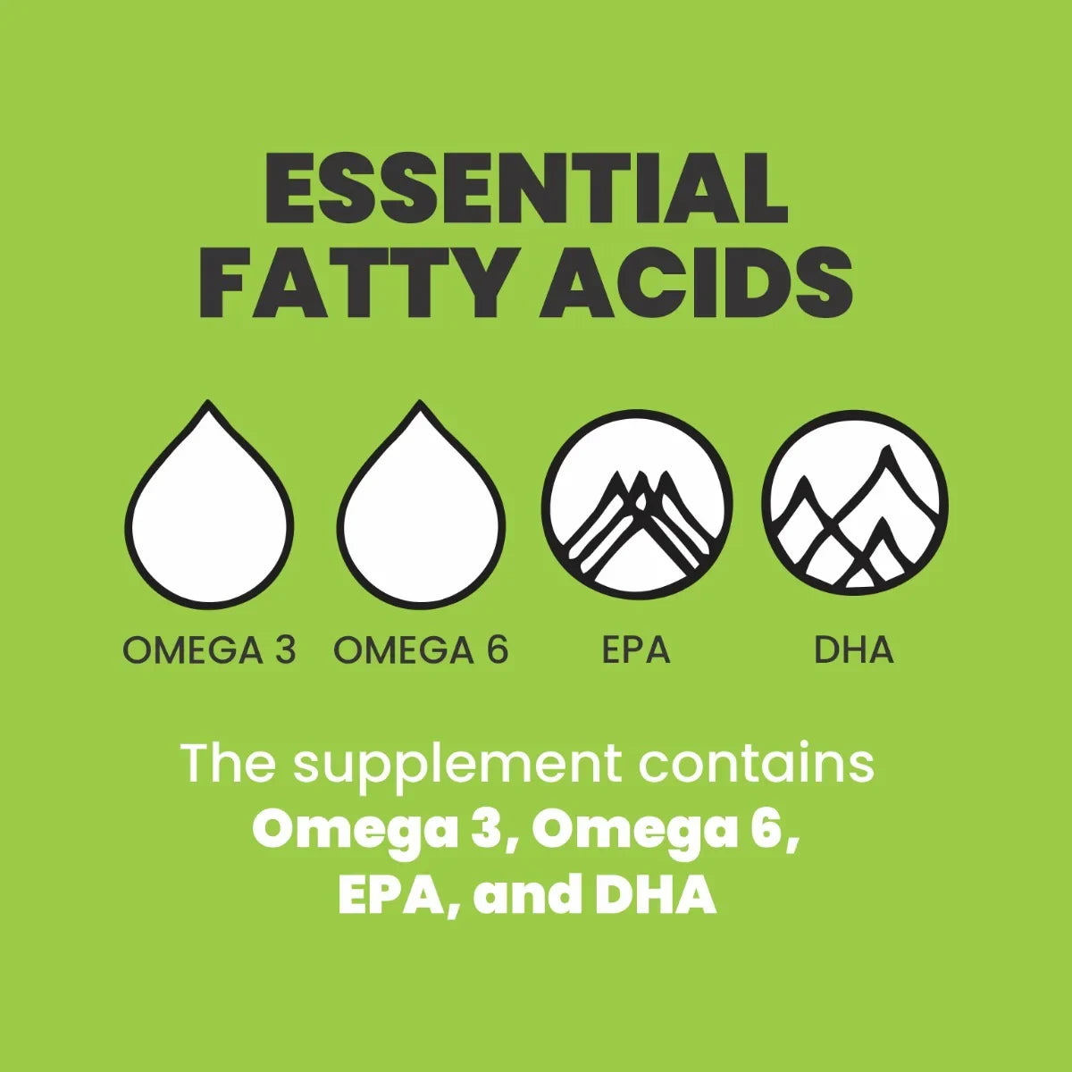 Palamountains My Beau Vitamin & Mineral Tasty Oil Supplement For Dog - 300 ml - Zigly