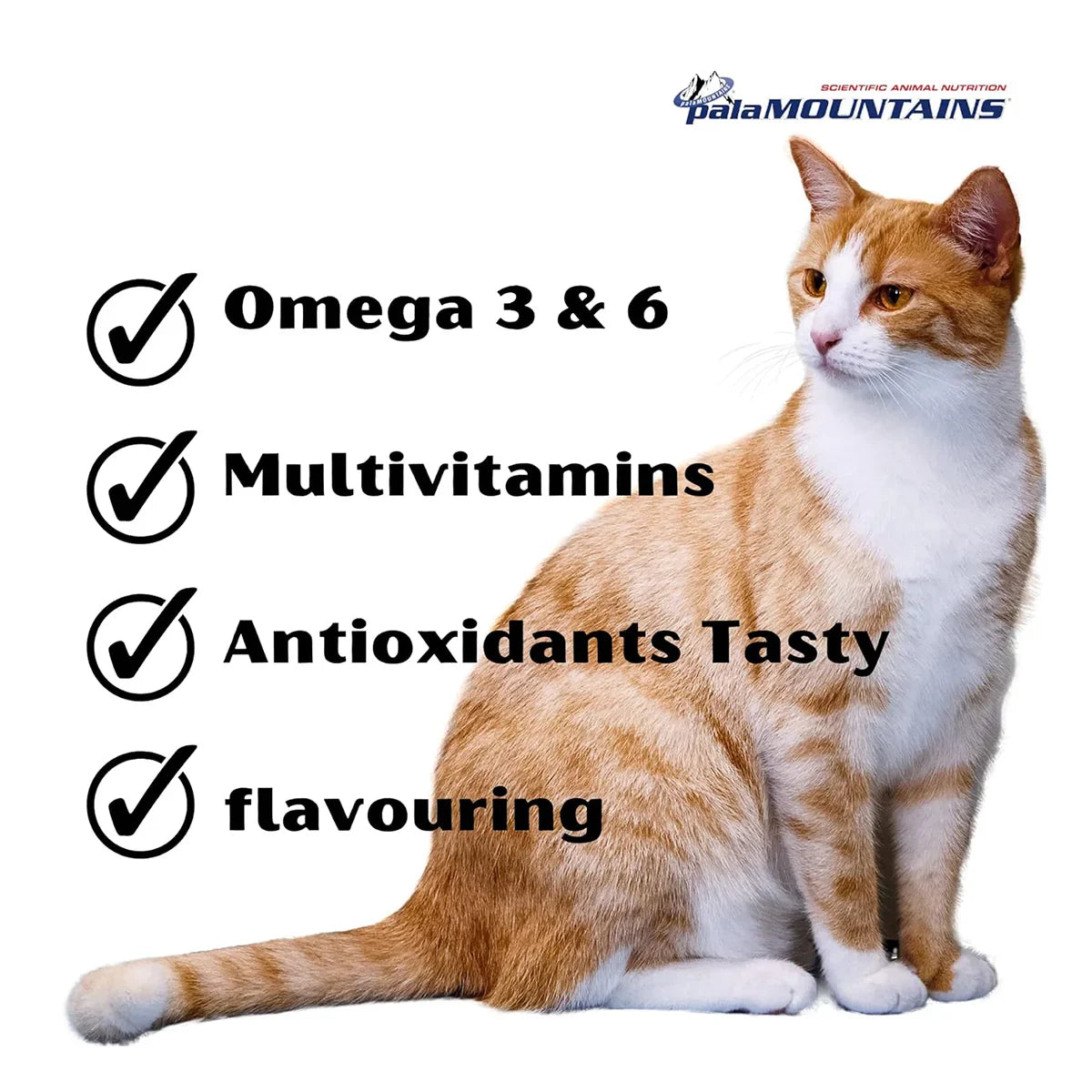 Palamountains My Beau Vitamin & Mineral Supplement for Cats - 300-ml - Zigly