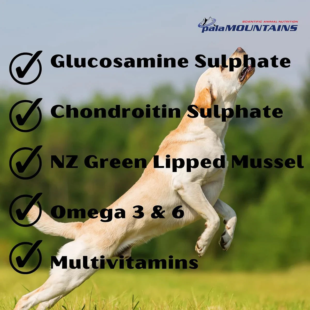 Palamountains My Beau Bone & Joint Supplement For Dog/Cat - 150ml - Zigly