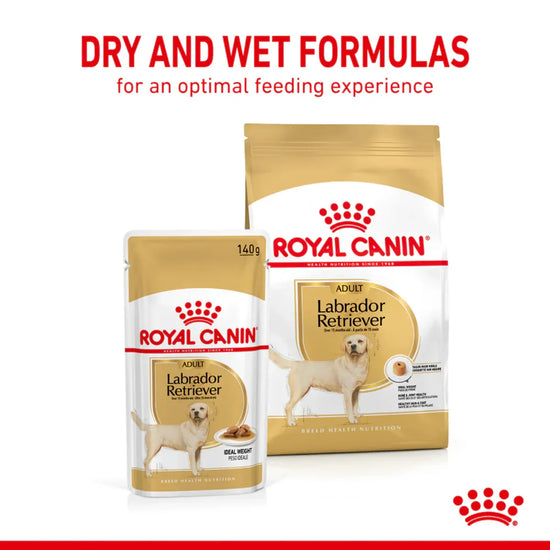 Royal Canin Labrador Retriever Adult Wet Dog Food - 140g - Zigly