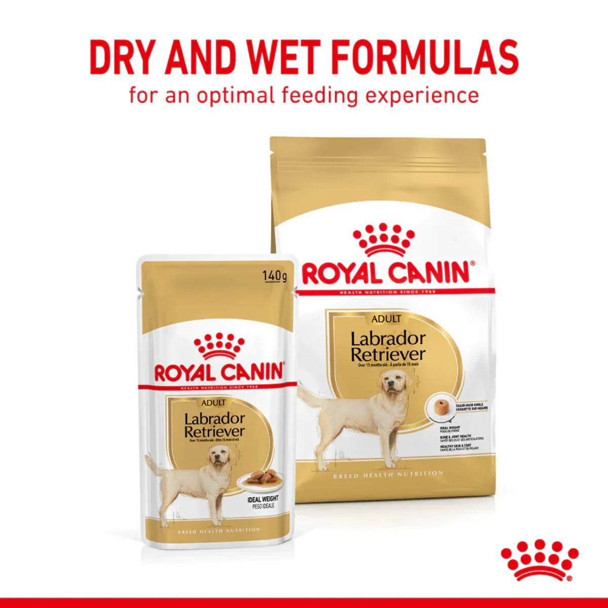 Royal Canin Labrador Retriever Adult Wet Dog Food - 140g - Zigly