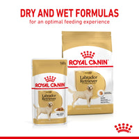 Royal Canin Labrador Retriever Adult Wet Dog Food - 140g - Zigly
