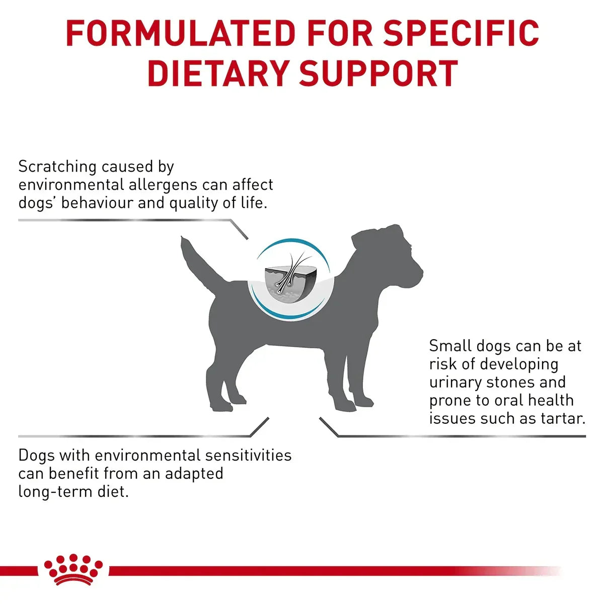 Royal Canin Veterinary Diet Skintopic Dry Dog Food - Zigly