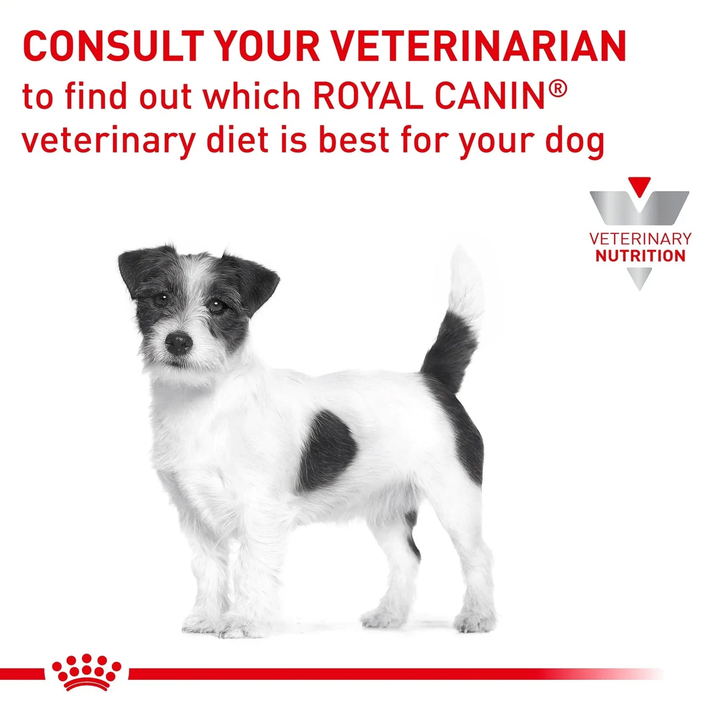 Royal Canin Veterinary Diet Skintopic Dry Dog Food - Zigly