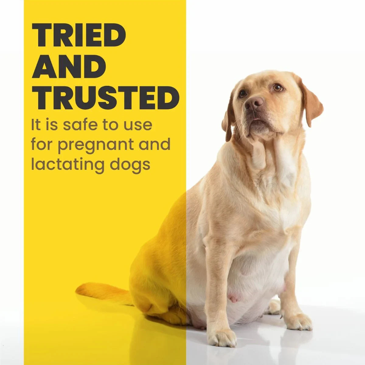 Arden Grange Weaning Puppy Fresh Chicken & Rice Dry Food - Zigly