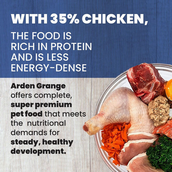 Arden Grange Puppy/Junior Fresh Chicken & Rice Dry Dog Food - Large Breed - Zigly