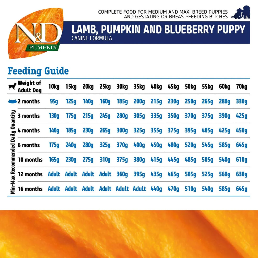 Farmina N&D Grain Free Pumpkin Lamb & Blueberry Dry Dog Food - Medium & Maxi Breed Puppy - Zigly