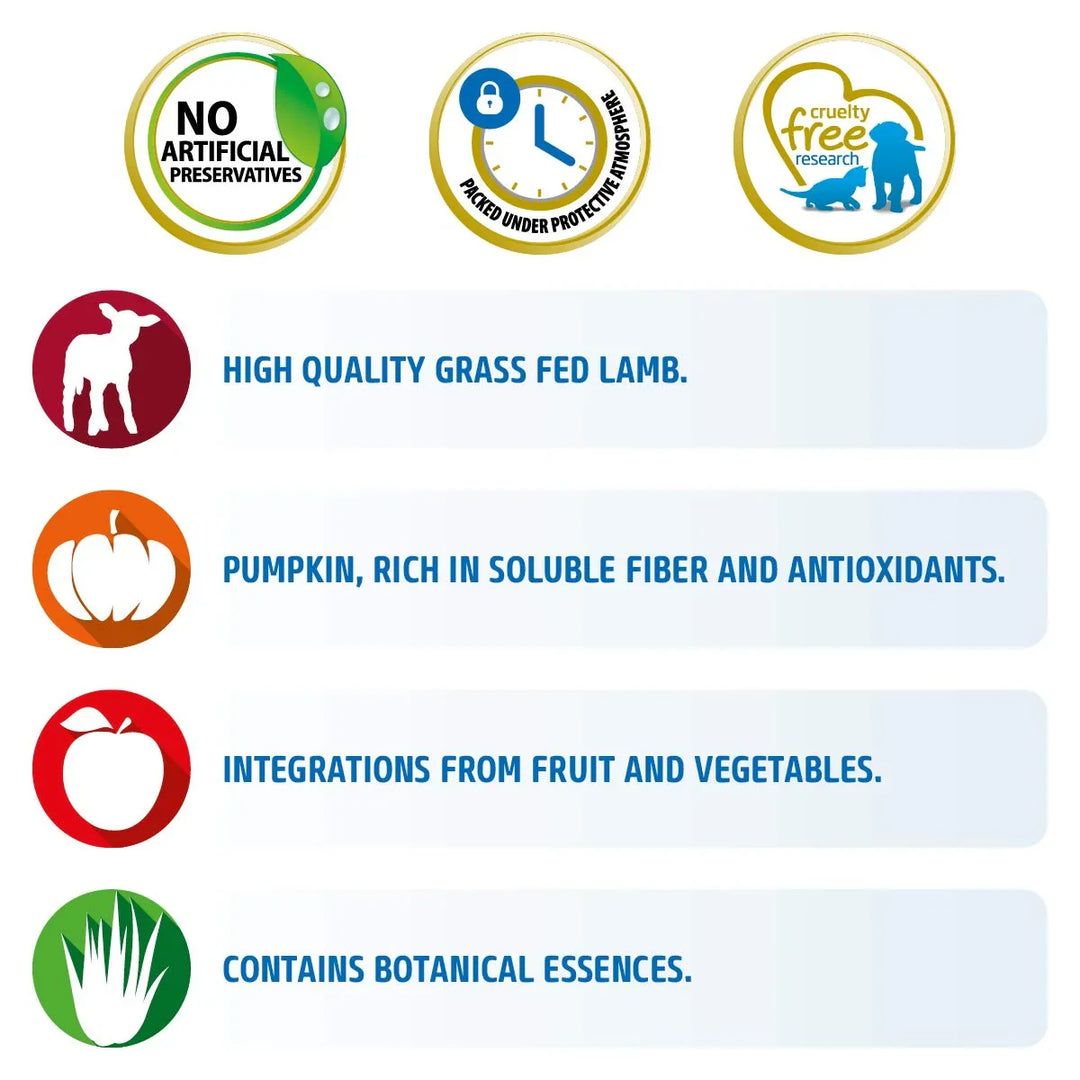 Farmina N&D Grain Free Pumpkin Lamb & Blueberry Dry Dog Food - Mini Breed Adult - Zigly