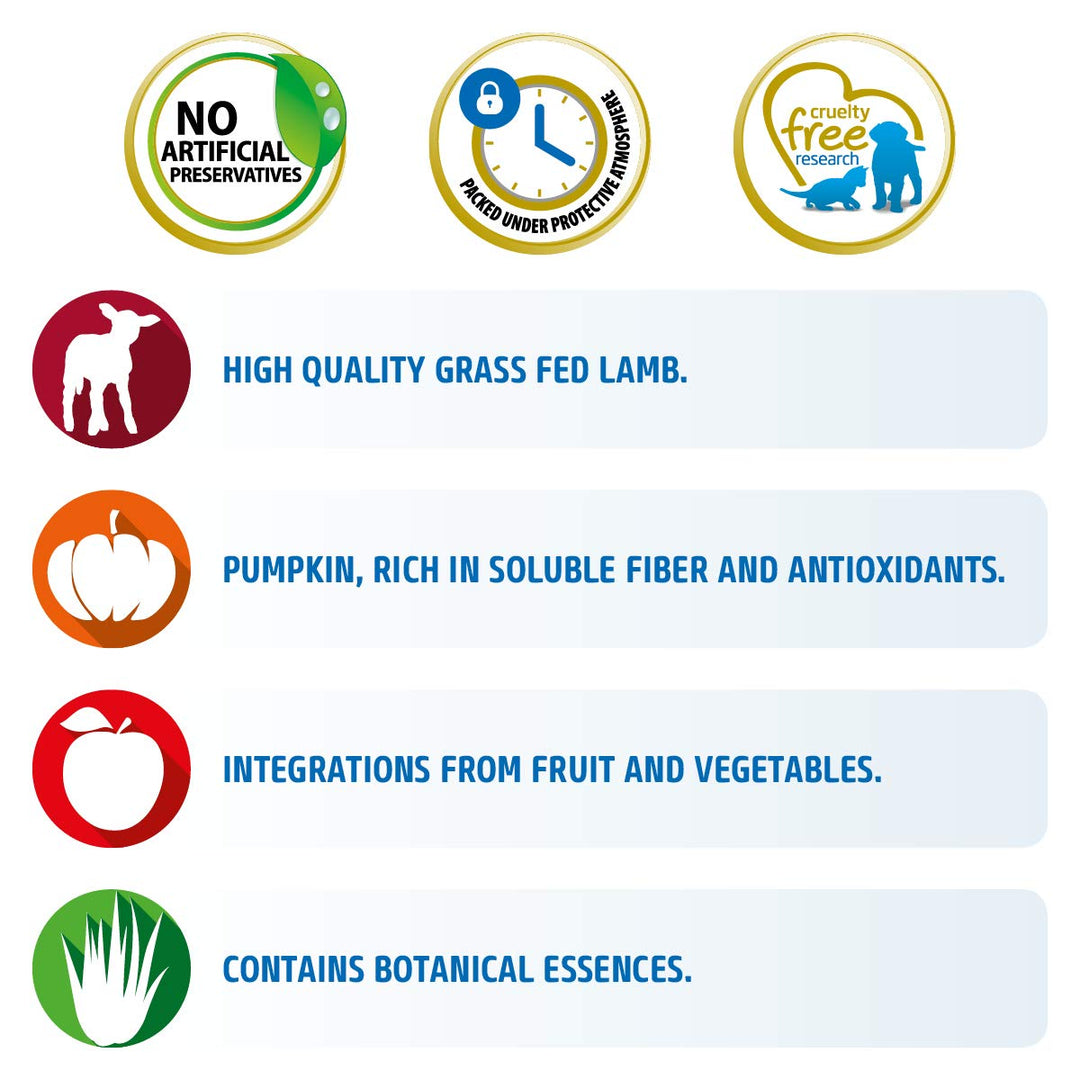 Farmina N&D Grain Free Pumpkin Lamb & Blueberry Dry Dog Food - Medium & Maxi Breed Adult - Zigly