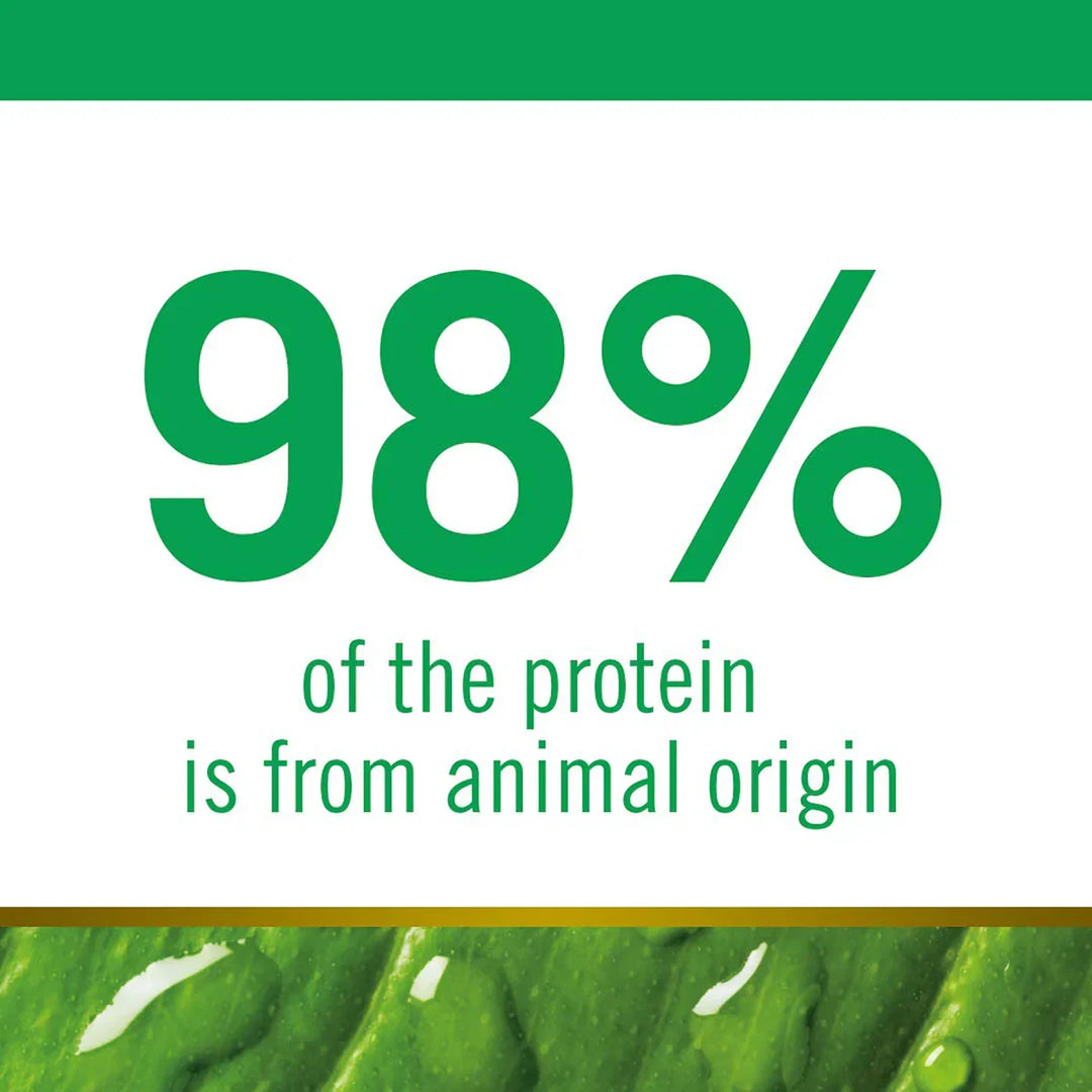 Farmina N&D Grain Free Prime Chicken & Pomegranate Kitten Food - Dry Cat Food - All Breeds - Zigly