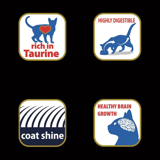 Matisse Kitten (1-12 Months) - Dry Cat Food - All Breeds - Zigly