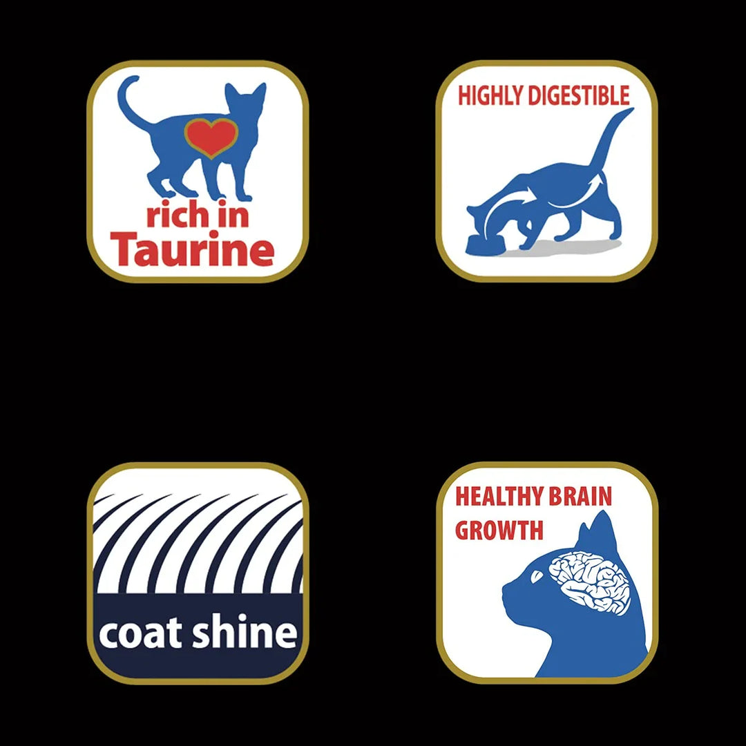 Matisse Kitten (1-12 Months) - Dry Cat Food - All Breeds - Zigly