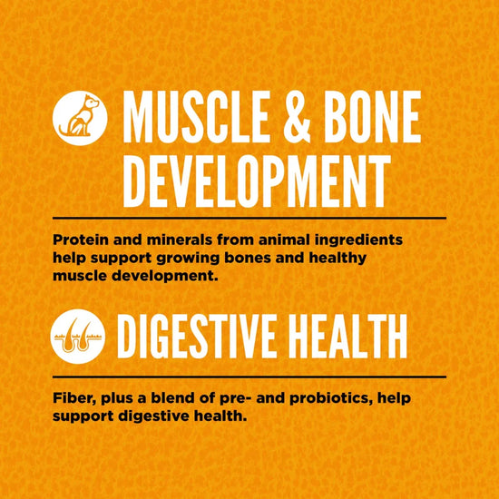 Orijen Puppy Dry Dog Food - All Breed - Zigly