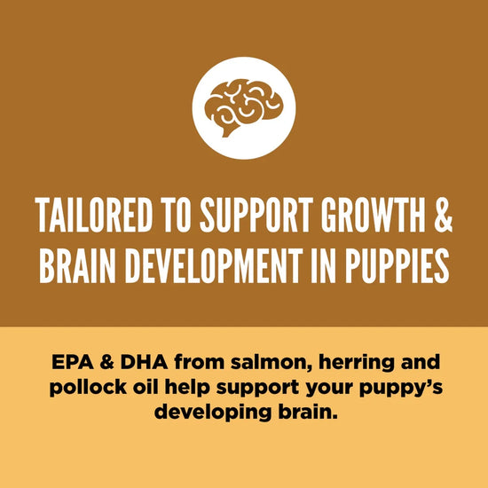 Orijen Puppy Dry Dog Food - All Breed - Zigly