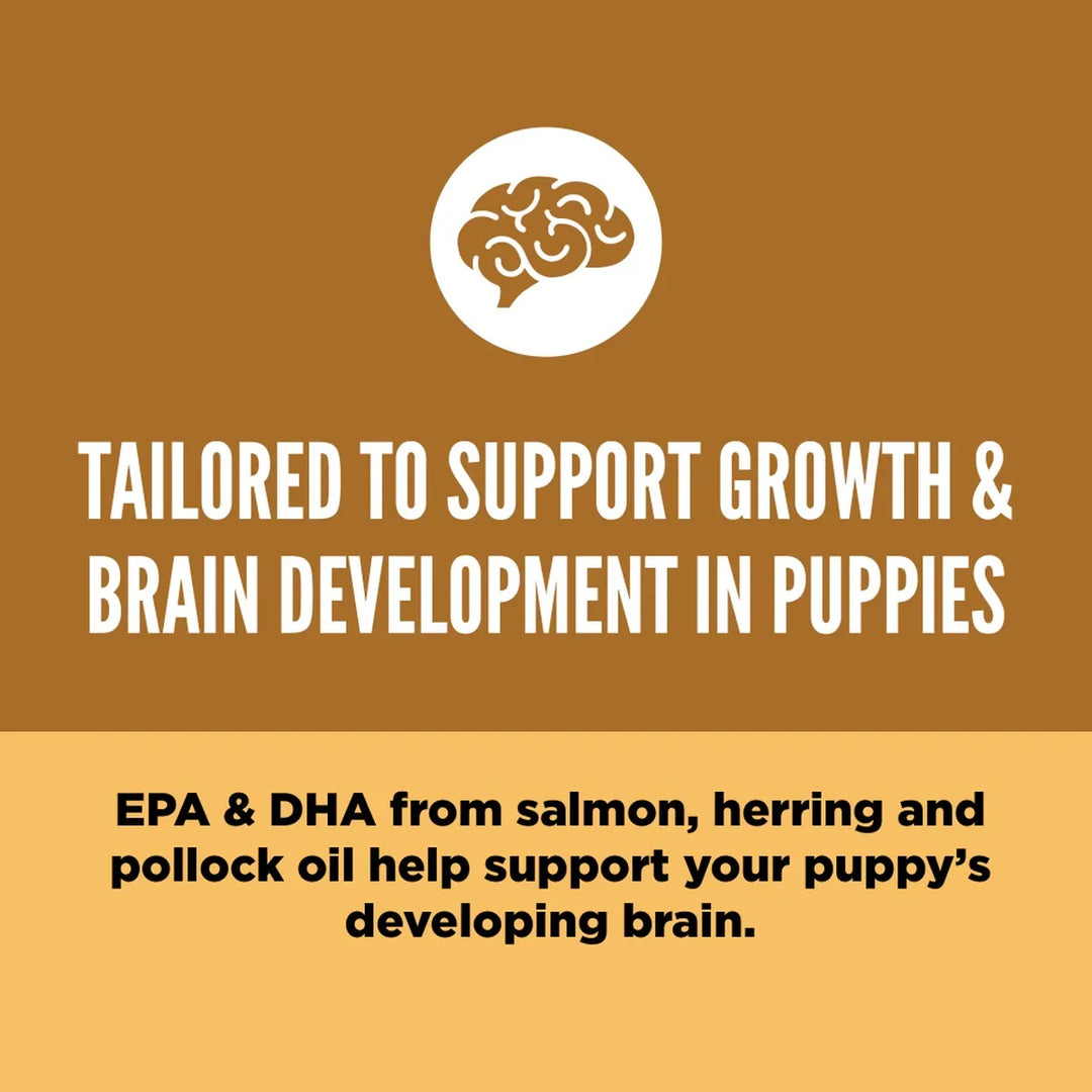 Orijen Puppy Dry Dog Food - All Breed - Zigly