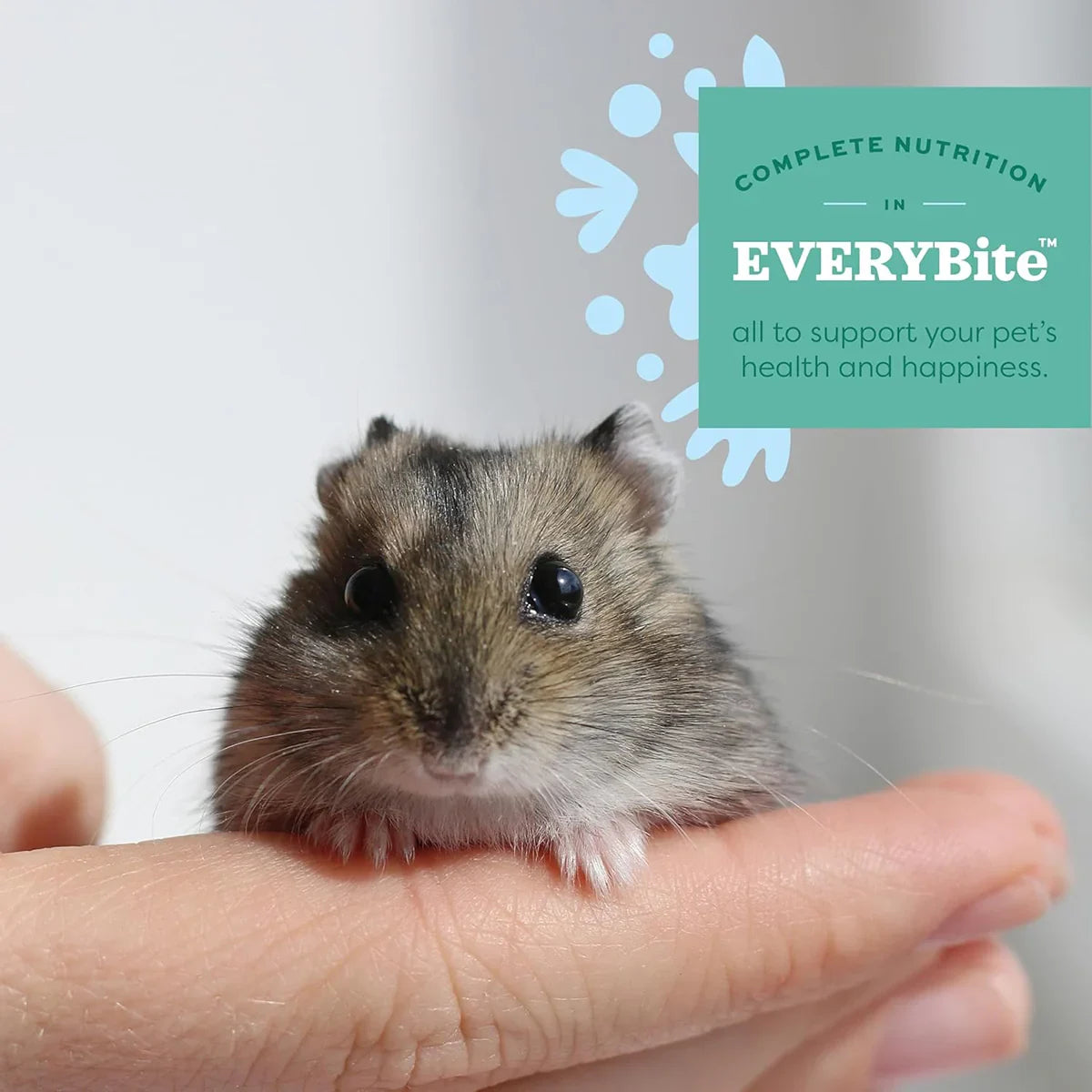 Oxbow Essentials Hamster & Gerbil Food - 454g - Zigly