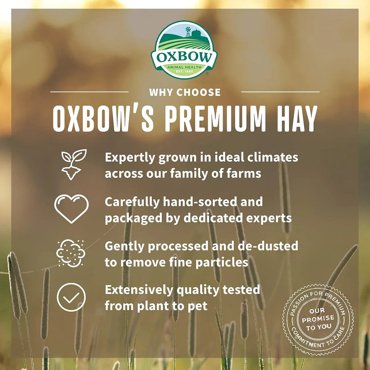 Oxbow Botanical Hay - 425g - Zigly