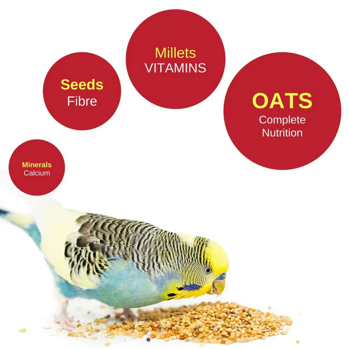 Vitapol Economic Bird Food For Budgie - 1.2kg - Zigly